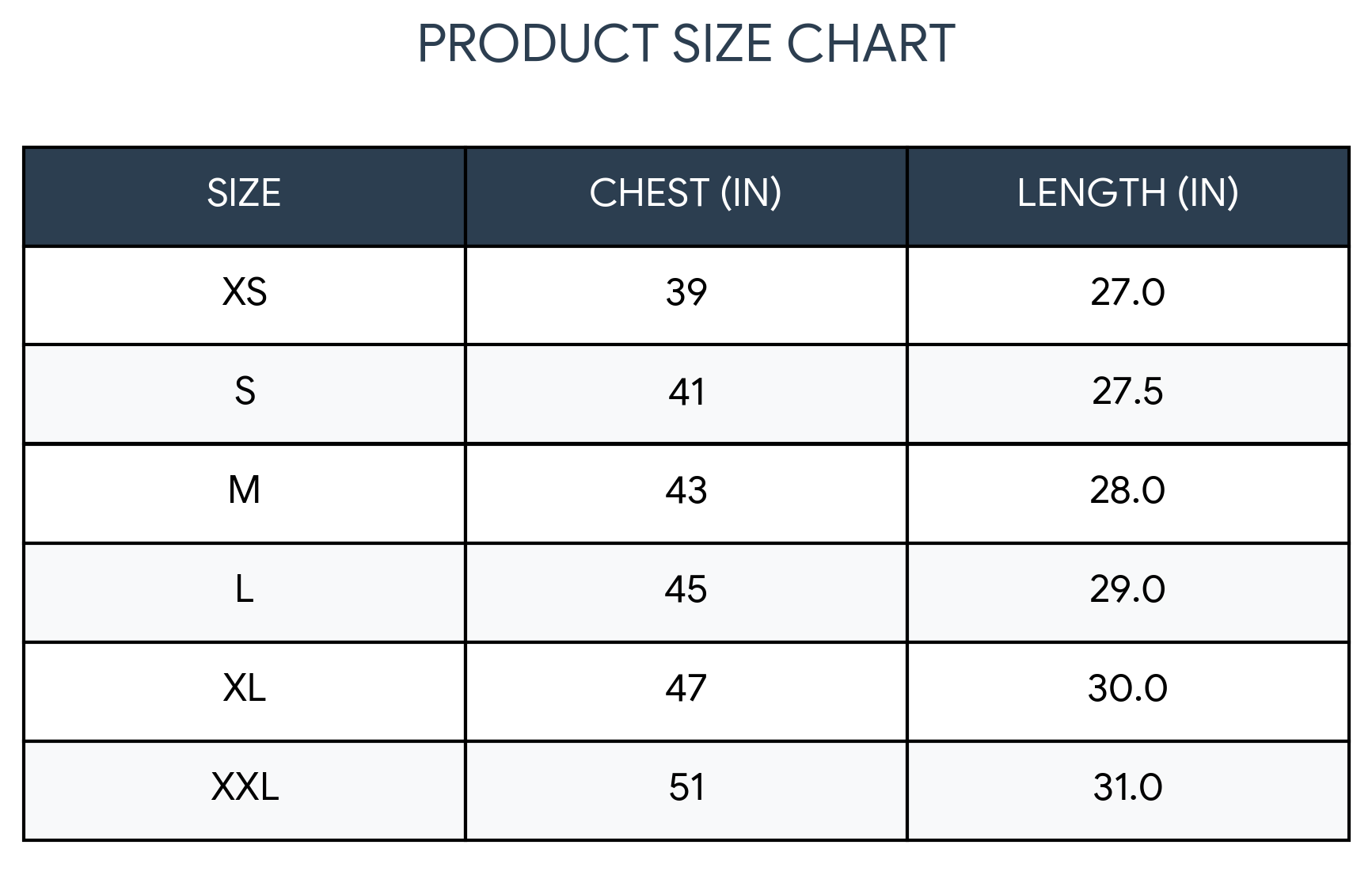 Wings Oversized Tshirt
